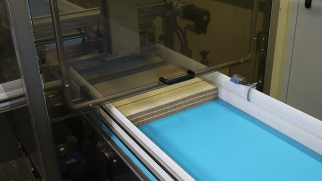conveyor in the confectionery shop for the production and assembly of chocolate wafers