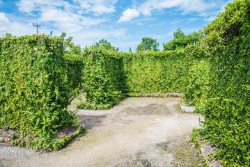 Outdoor green maze nature garden with blue sky background. Recreation and activity concept.