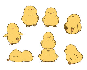ひよこのカラーイラスト © OK