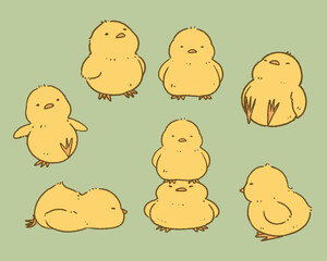 ひよこのカラーイラスト