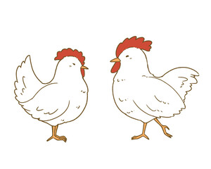 にわとりのカラーイラスト