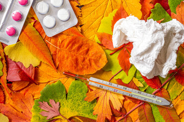 Thermometer, pills, crumpled paper napkin on a background of fallen leaves. High temperature on...