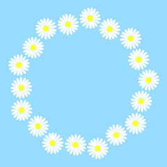 Round wreath daisies on blue background. Circular flower frame isolated object. Circle white spring and summer flowers vector illustration