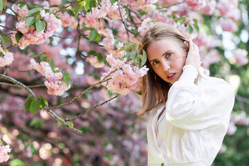 Fototapeta premium A blonde woman in a white shirt poses near the cherry blossoms. Spring mood