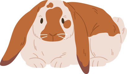 English Lop Breed of Rabbit Realistic Illustration