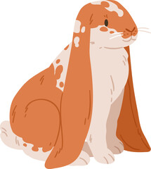 English Lop Eared Breed of Ginger Spotty Rabbit Illustration © Good Studio