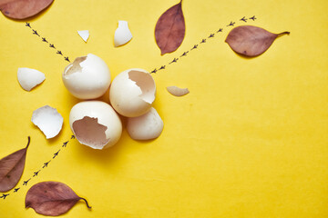 broken bird eggs and footprints, egg shells on yellow background. Overhead view, flat lay. Concept...