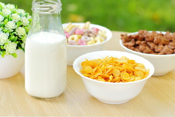 Bowls with different sorts of breakfast cereal products, white bowls with morning meal