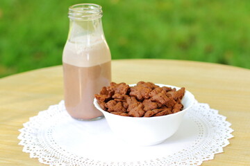 Bowls with different sorts of breakfast cereal products, white bowls with morning meal
