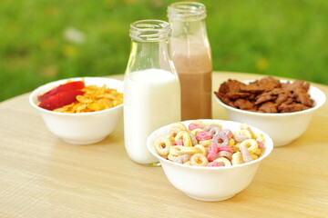 Bowls with different sorts of breakfast cereal products, white bowls with morning meal