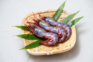 新鮮なブドウエビ