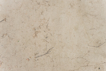 background of a dry clay country road with cracks and twigs