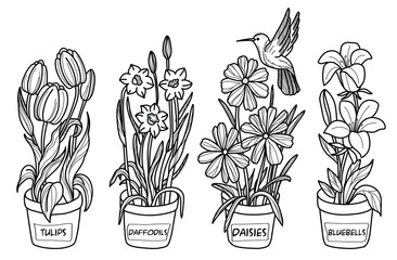 Selection of Doodle pictures cute Tulips daffodils bells daisies birds Handdrawn