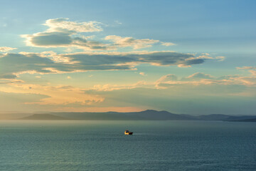 View of the sea from a high shore covered with forest during sunset