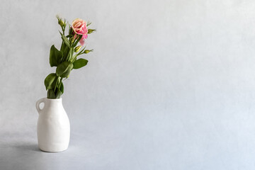 Flower in a white ceramic vase on a gray background. Pink carnation in a vase. Photo