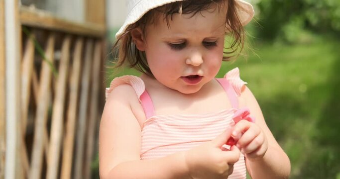 Cute little girl picking up and eating strawberry from farm