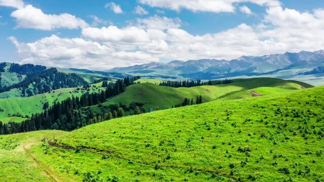 Aerial footage of green grass and mountain natural landscape in Nalati grassland, Xinjiang, China. Nalati grassland is a famous grassland pasture.