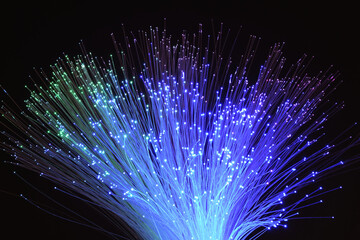 Closeup of a Multicolor LED Fiber Optic Light Lamp