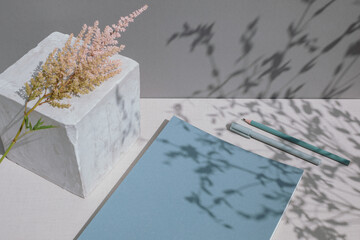 Still life with blank blue note pad, gypsum cube, astilbe plant. Shadows of leaves reflected on surface