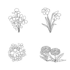 春のお花達の線画イラスト