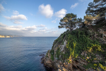 Fototapeta na wymiar Scenic sea view on a sunny day. Bright greenery and azure sea. Mediterranean Sea, Costa Brava, Spain.