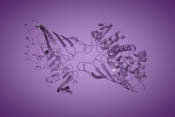 Twinning in crystals of human skeletal muscle d-glyceraldehyde-3-phosphate dehydrogenase. Ribbons diagram. Rendering based on protein data bank. Scientific background. 3d illustration