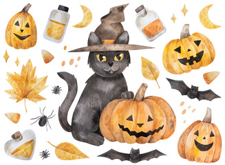 Cute watercolor set with cat in witch hat with Jack o'lantern. Halloween hand-drawn illustrations of yellow leaves, pumpkins, bats.
