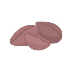 Coffee beans illustration. Robusta, arabica. Ingredient for latte, cappucino, americano. Vector isolated on white background.