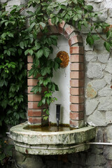 flowers bloomed inside the unused historical marble fountain. Decorative fountain on brick background.