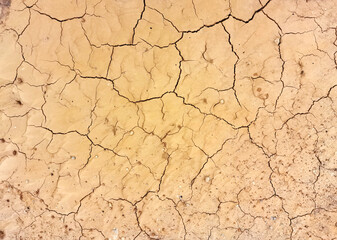 cracked earth texture