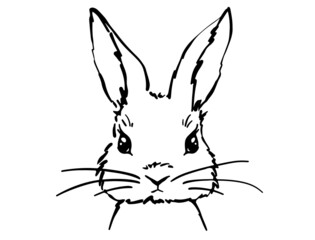 easter bunny head. Rabbit home sign decor