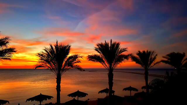 Beautiful view of palm trees at sunset in Soma Bay, Hurghada, Egypt