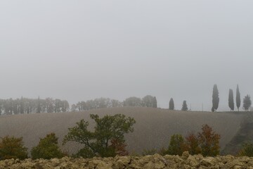 Panorama della campagna toscana in autunno con la nebbia coltivazioni di vite e cipressi nel chianti