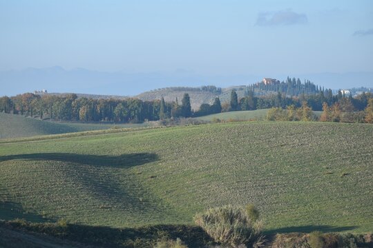 panorama of the vineyards in autumn in the Tuscan countryside near Florence