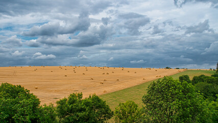 Fototapeta na wymiar Cornfields on which bales of straw remain after harvest. Wheat was harvested.
