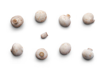 A collection of Champignon, white button mushrooms isolated against a white background.