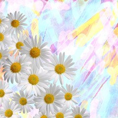 Chamomile, daisy flowers on a bright background frame. Wedding, Easter days.