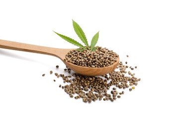 Spoon with hemp seeds on white background