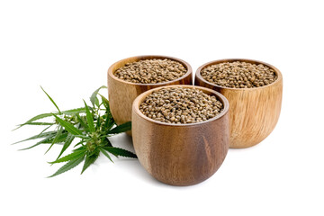 Bowls with hemp seeds on white background