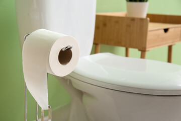 Holder with roll of paper and toilet bowl near green wall, closeup