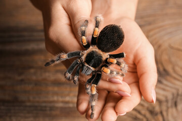 Woman with scary tarantula spider, closeup