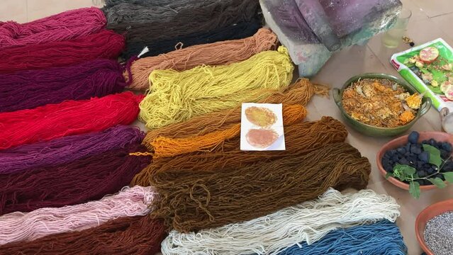 Beautiful Dyed Wool Yarn Fabrics Laid On The Ground Next To Natural Dye Sources.