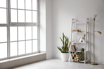 Standard lamp with shelving unit and houseplant near light wall