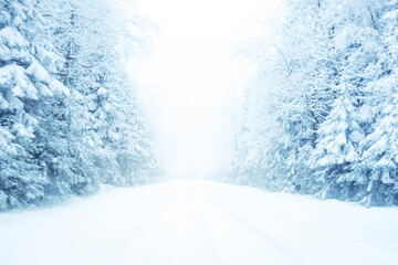 Cold and snowy winter road in the mountains with evergreens during snowstorm. Toned blue.