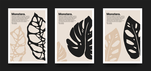 Collection of aesthetic posters with tropical leaves in a minimalist style. design for print, cover, wallpaper, minimalistic and natural wall art.