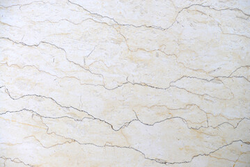 fossil limestone texture © tony4urban