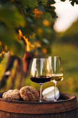 Two glasses of white and red wine with snacks on an old barrel in the vineyard - 494917296