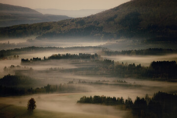 Landscape of the foggy sunrise on hill foot in Germany, Saxon Switzerland - obrazy, fototapety, plakaty