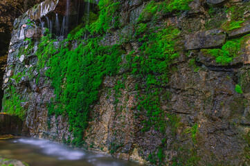 Water flows in small trickles down a stone wall covered with green moss. A small waterfall.
The masonry is covered with green moss.