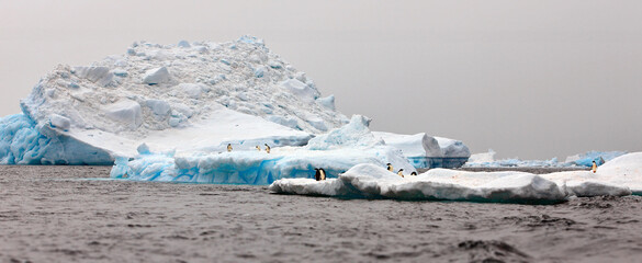 Panoramic shot of huddles of penguins on the ice in the ocean on a gloomy day in Antarctica